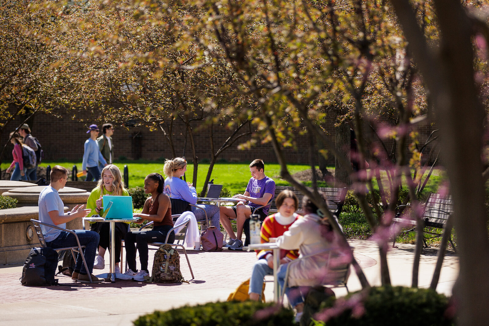 Students sitting in the Quad
