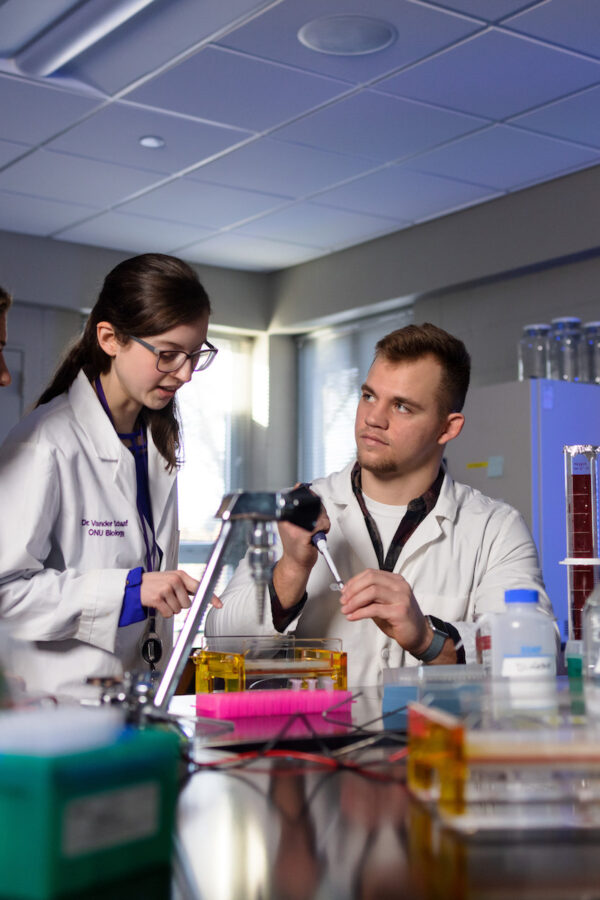 Students work in Lab