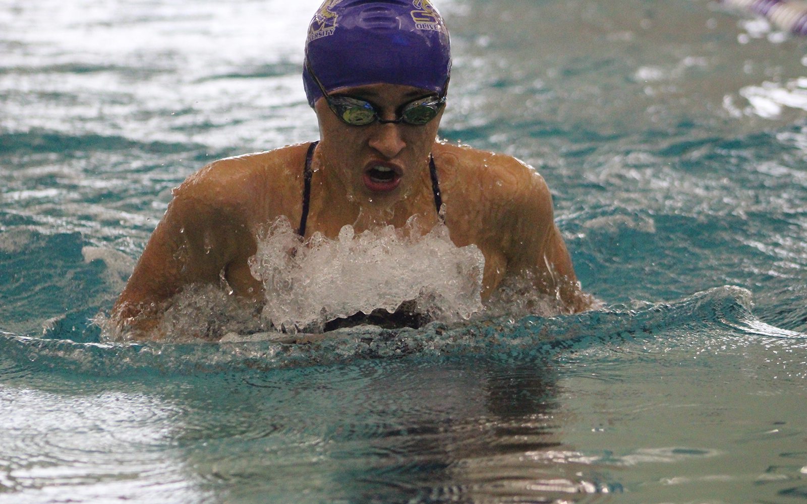 Olivet Tigers_athletics_swimming_swim_NAIA_Swimmer of the Month honor_Andrea Vega_2018_Web2.jpg