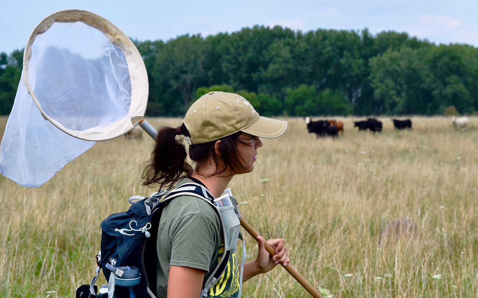 Olivet student_McKenna Conforti_zoology_insects_ecology_Academy of Sciences_Web.jpg