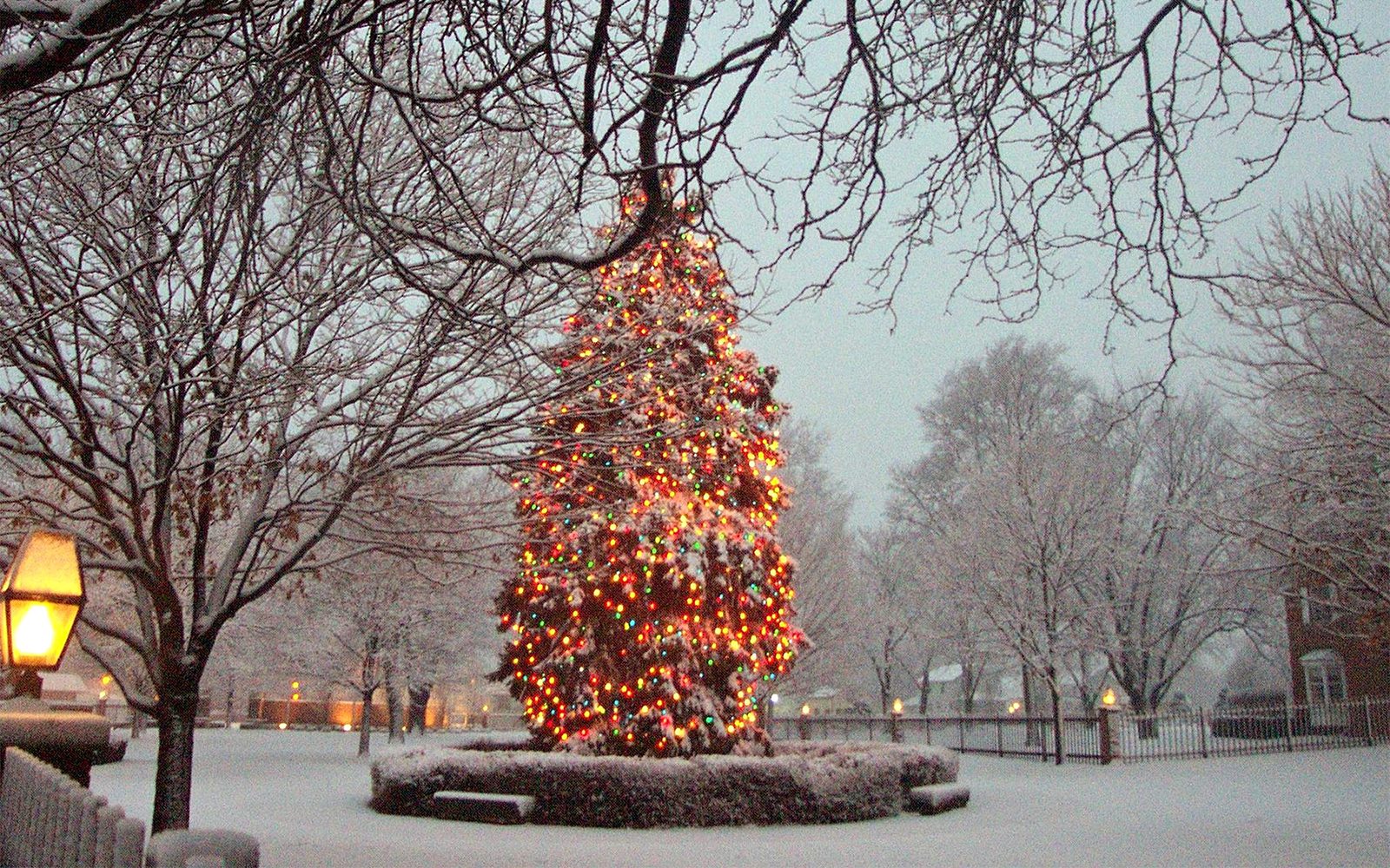 Olivet_Christams_holiday_traditions_campus_nostalgia_University_archives_tree_web1.jpg