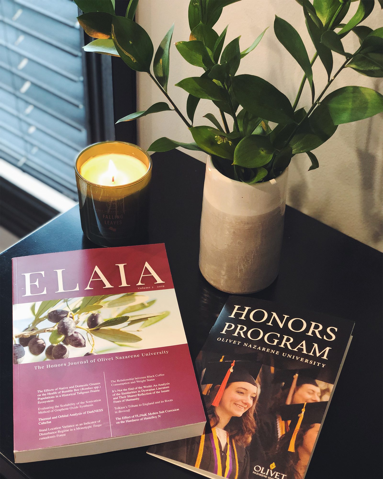 Olivet_ELAIA_journal_honors_program_academic_scholar_graduate_2019_web.jpg