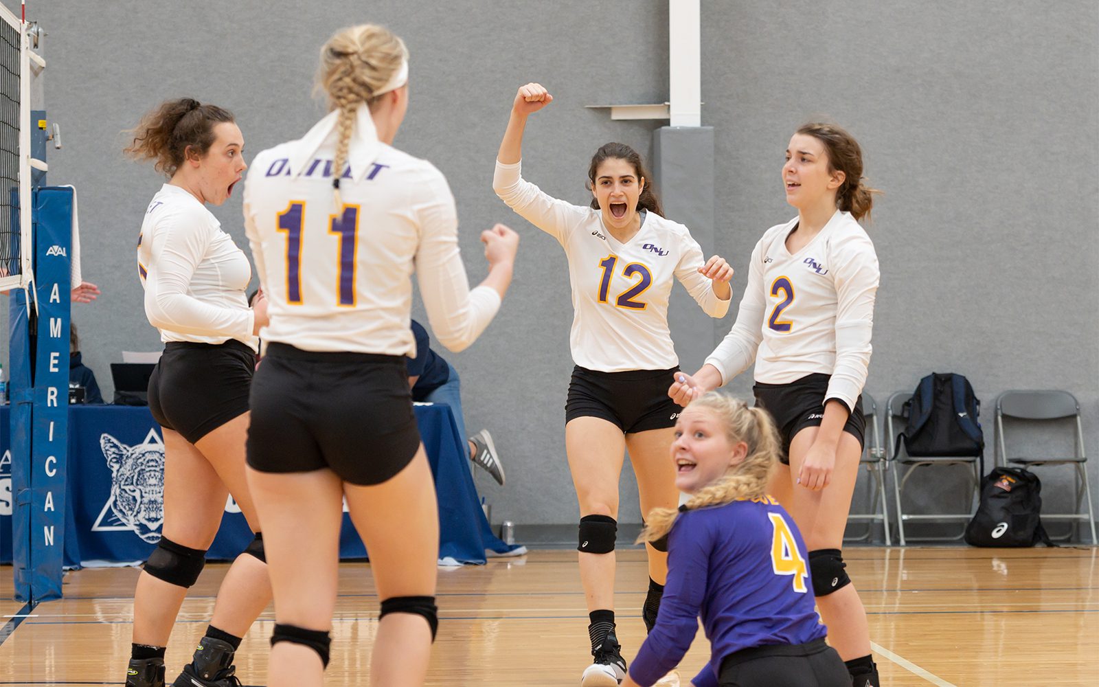 Olivet_athletics_tigers_fall_sports_volleyball_womens_2019_2.jpg