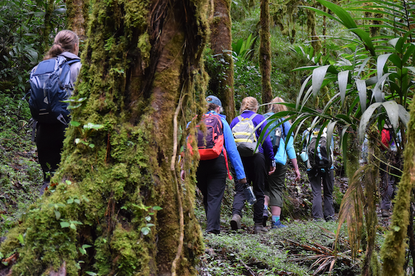 Zoology Program Study Abroad students in forest