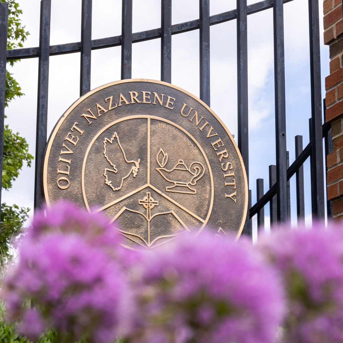 Image of university seal