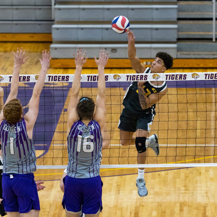 Men's volleyball player in action