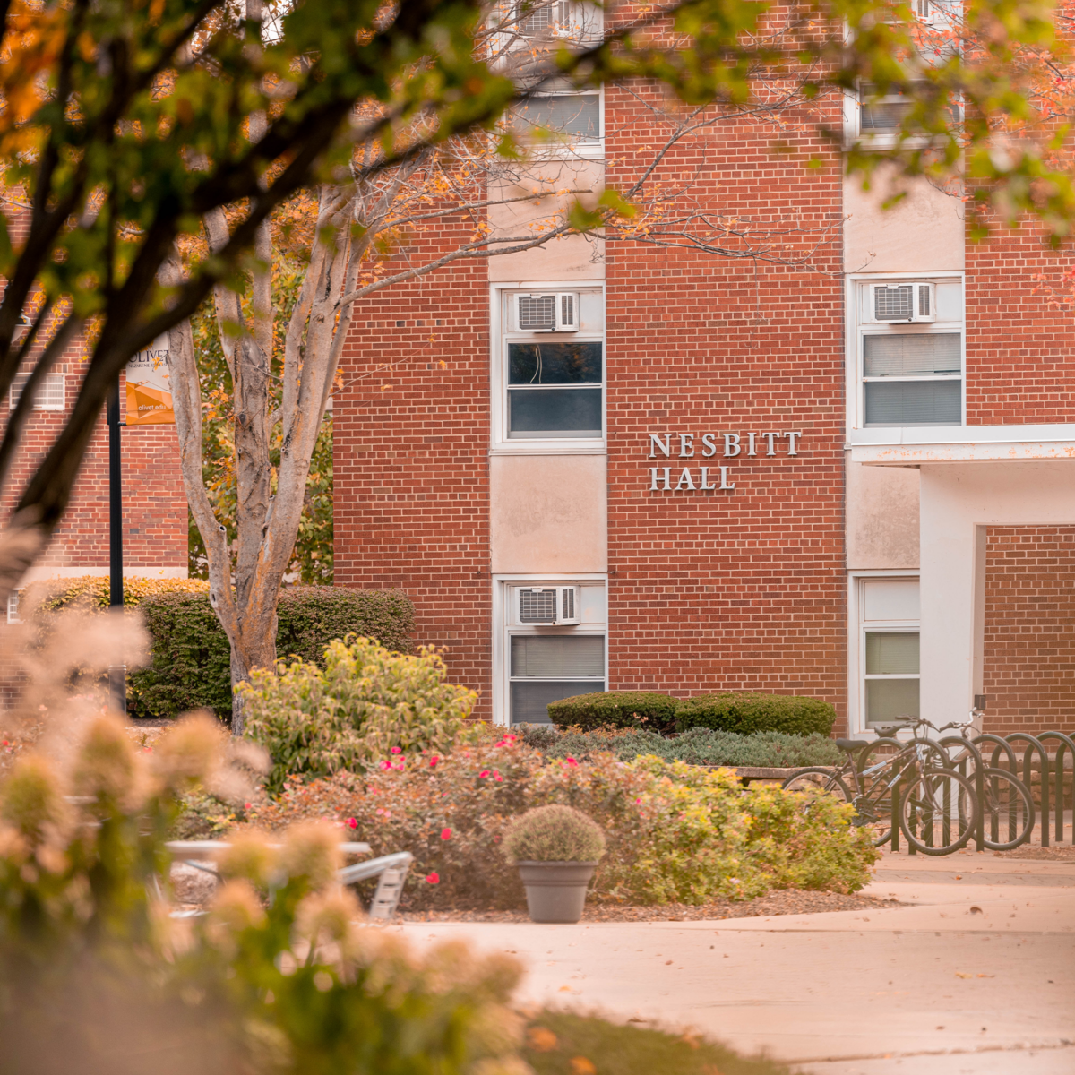 Photo of Nesbitt Hall