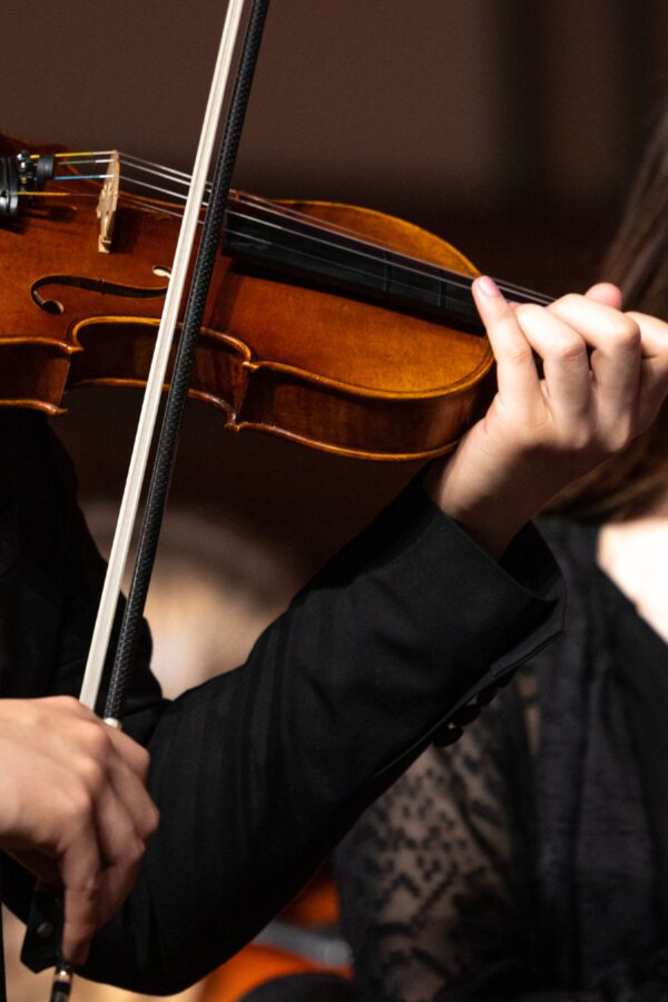 Detail photo of violinist