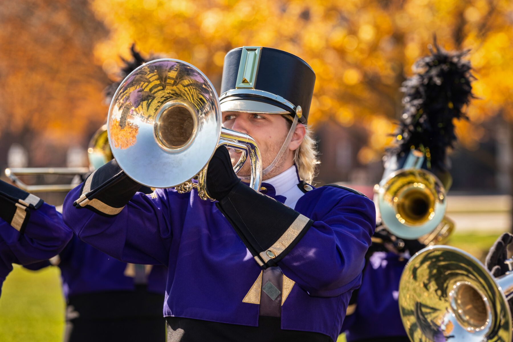 Tiger Marching band