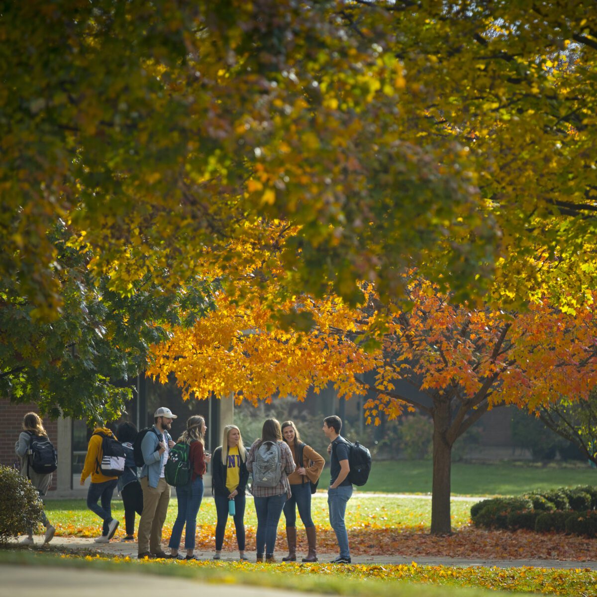 students in autumn on campus
