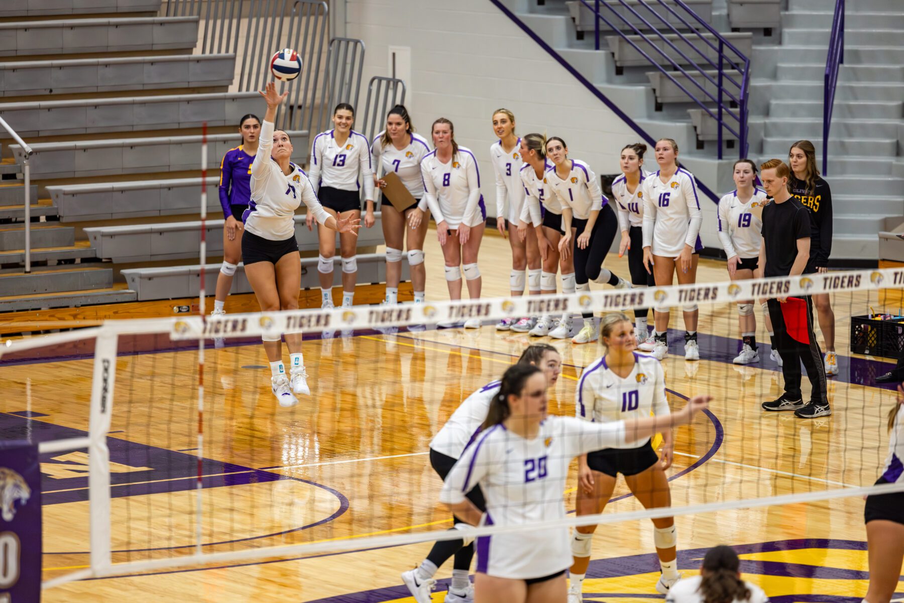 The women's volleyball team watches as their teammate serves the ball.