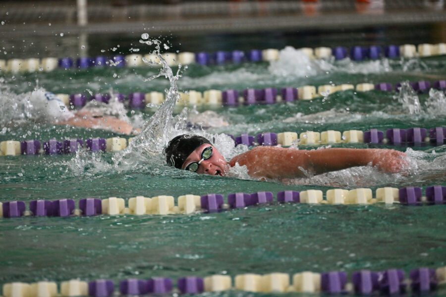 Swimmer swimming in pool