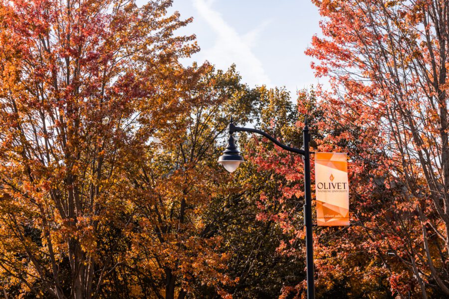Orange leaves on tree and Olivet pole flag