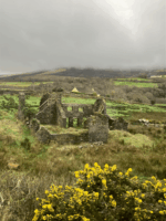A picture of some historical ruins in the Ireland countryside