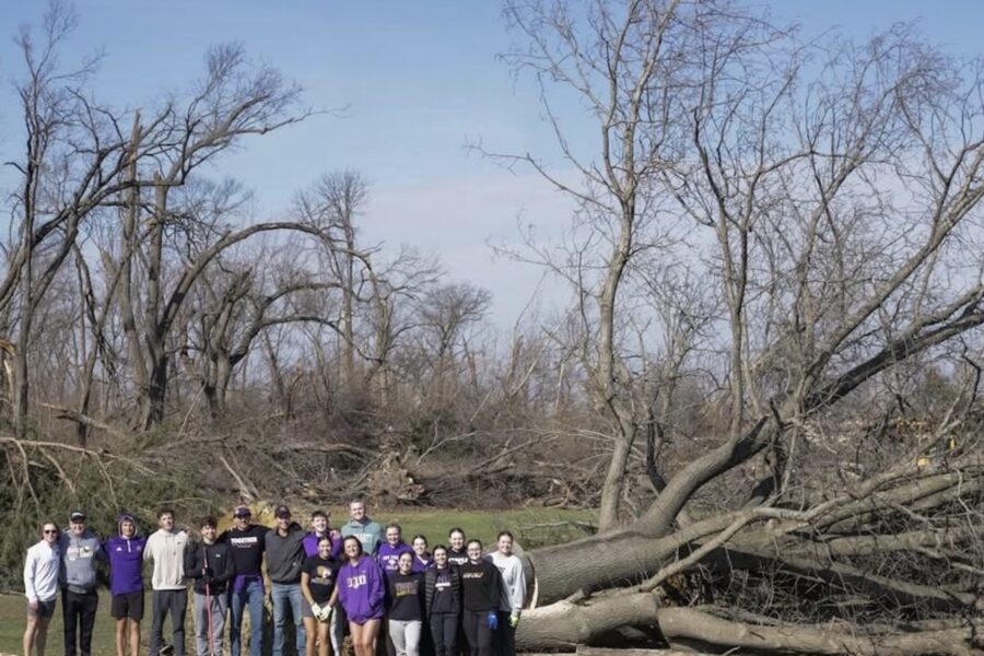 Storm Cleanup