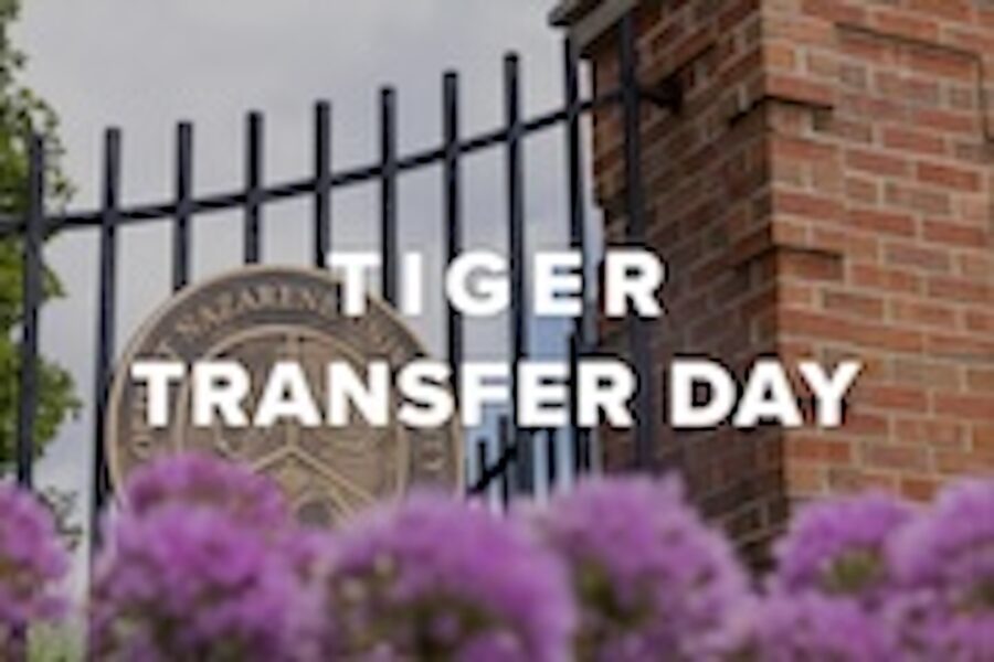tiger transfer day graphic
